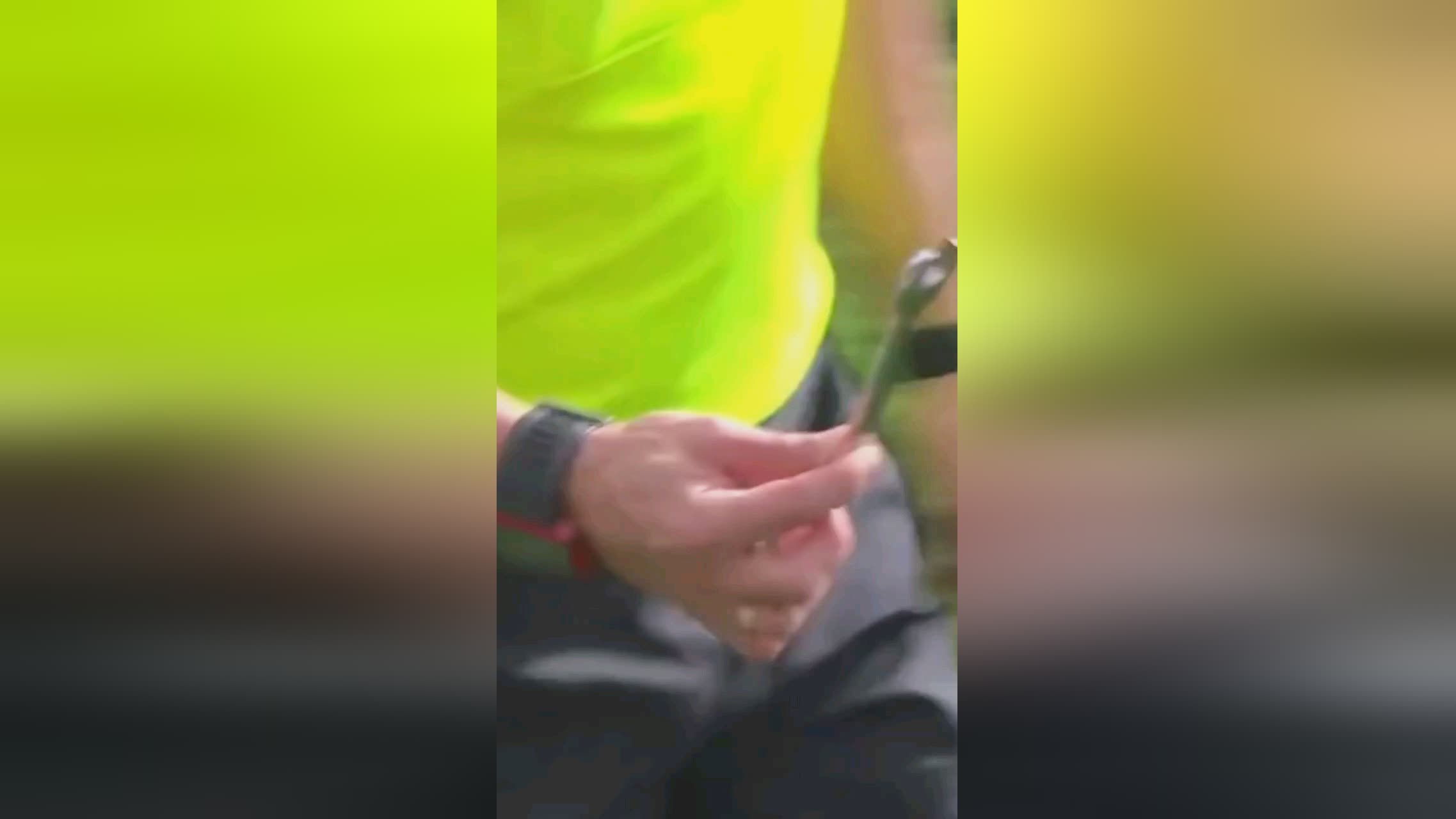 界怎么评价