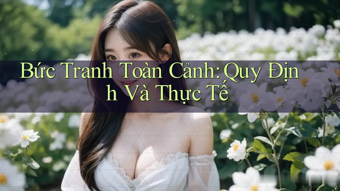 Bức Tranh Toàn Cảnh: Quy Định Và Thực Tế