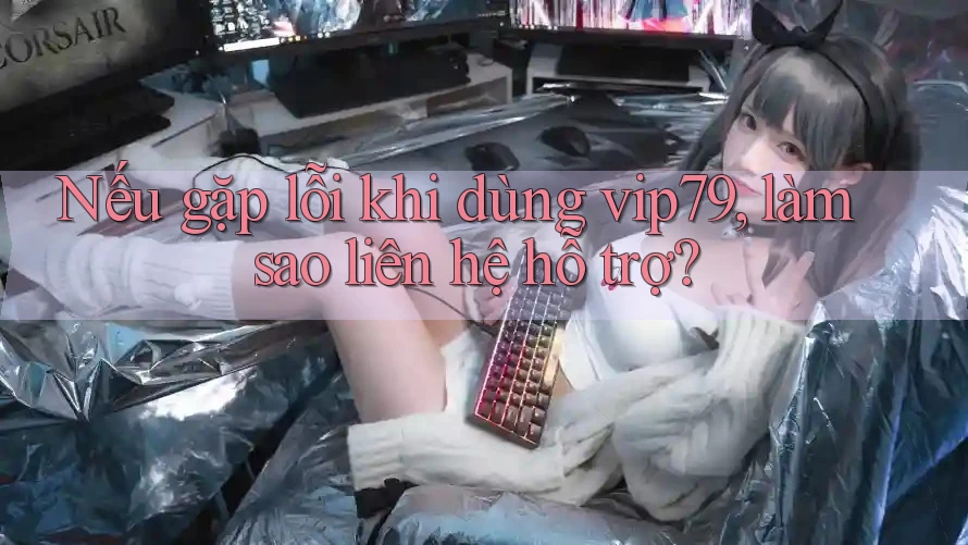 Nếu gặp lỗi khi dùng vip79, làm sao liên hệ hỗ trợ? Nếu gặp lỗi khi dùng vip79, làm sao liên hệ hỗ trợ?