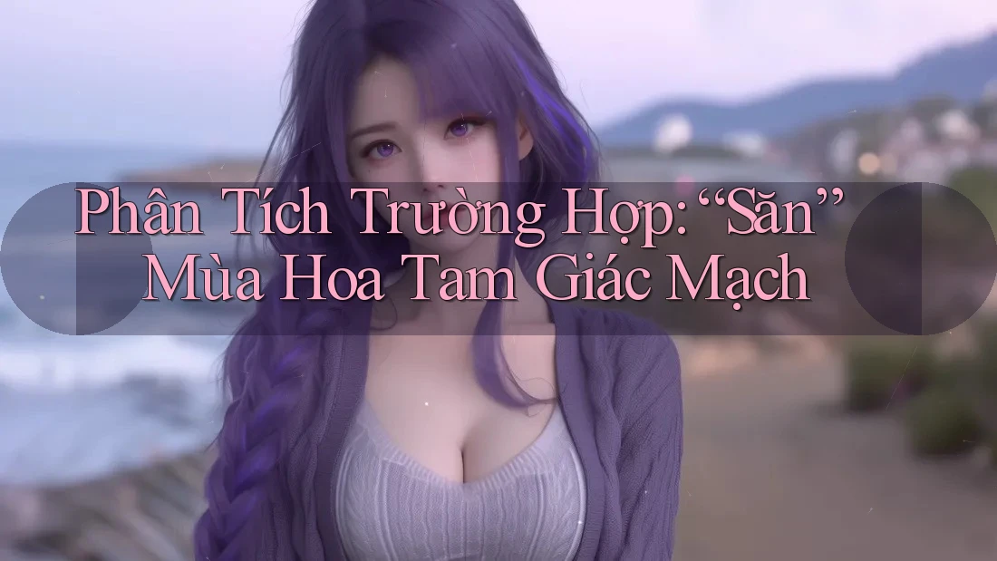 Phân Tích Trường Hợp: “Săn” Mùa Hoa Tam Giác Mạch