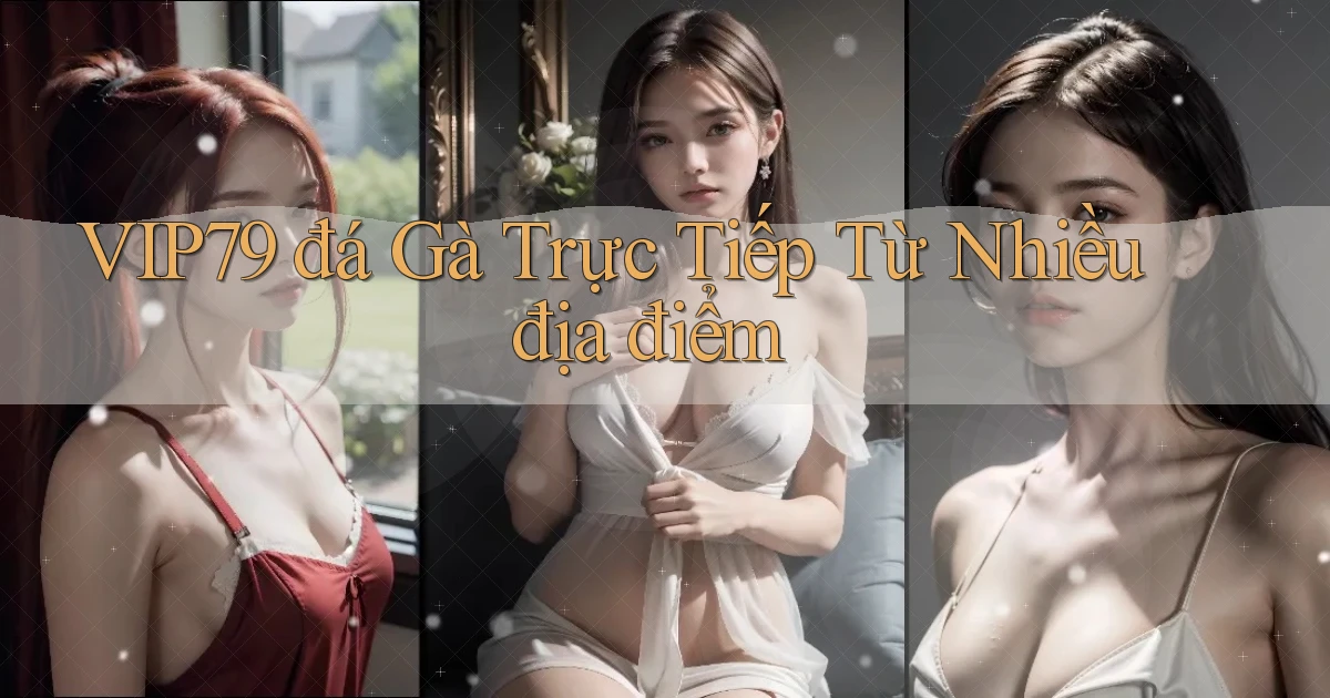 vip79  đá gà trực tiếp từ nhiều địa điểm